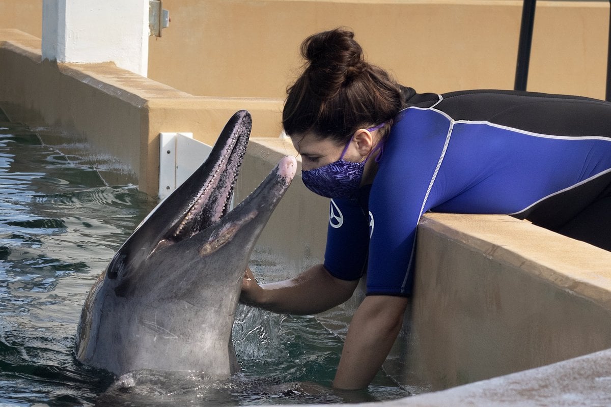 Clearwater Marine Aquarium - Gallery Image 2